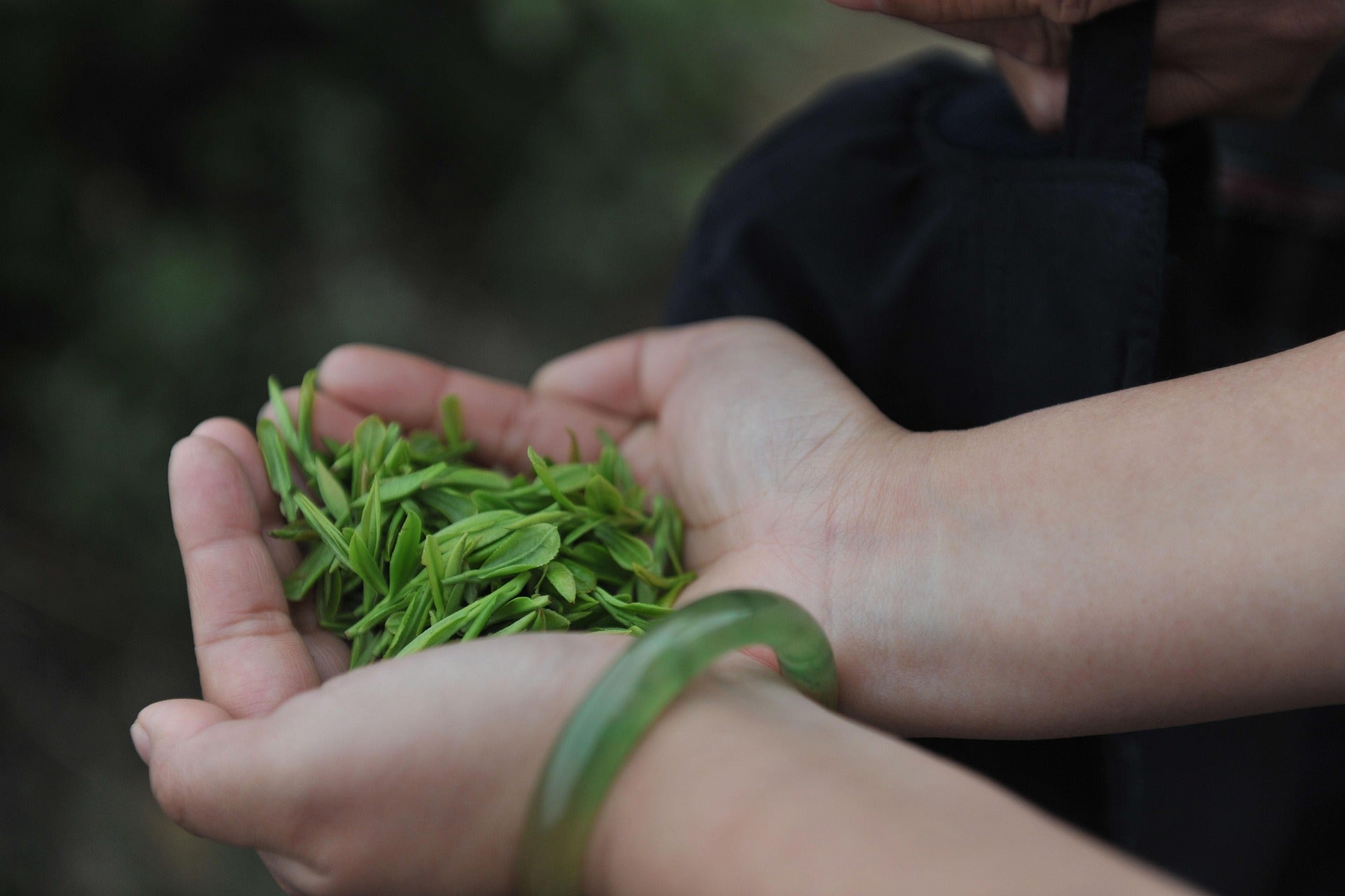 Only Loose Leaf Tea is real tea.