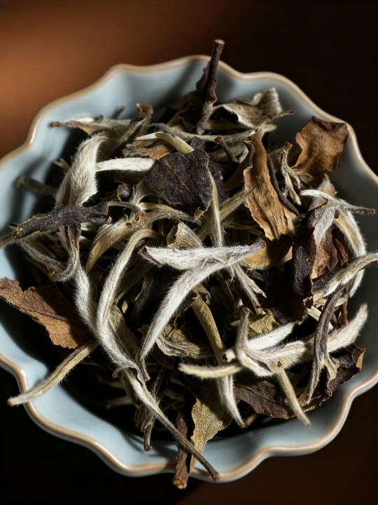 Moonlight White (Ancient Tree) White Tea