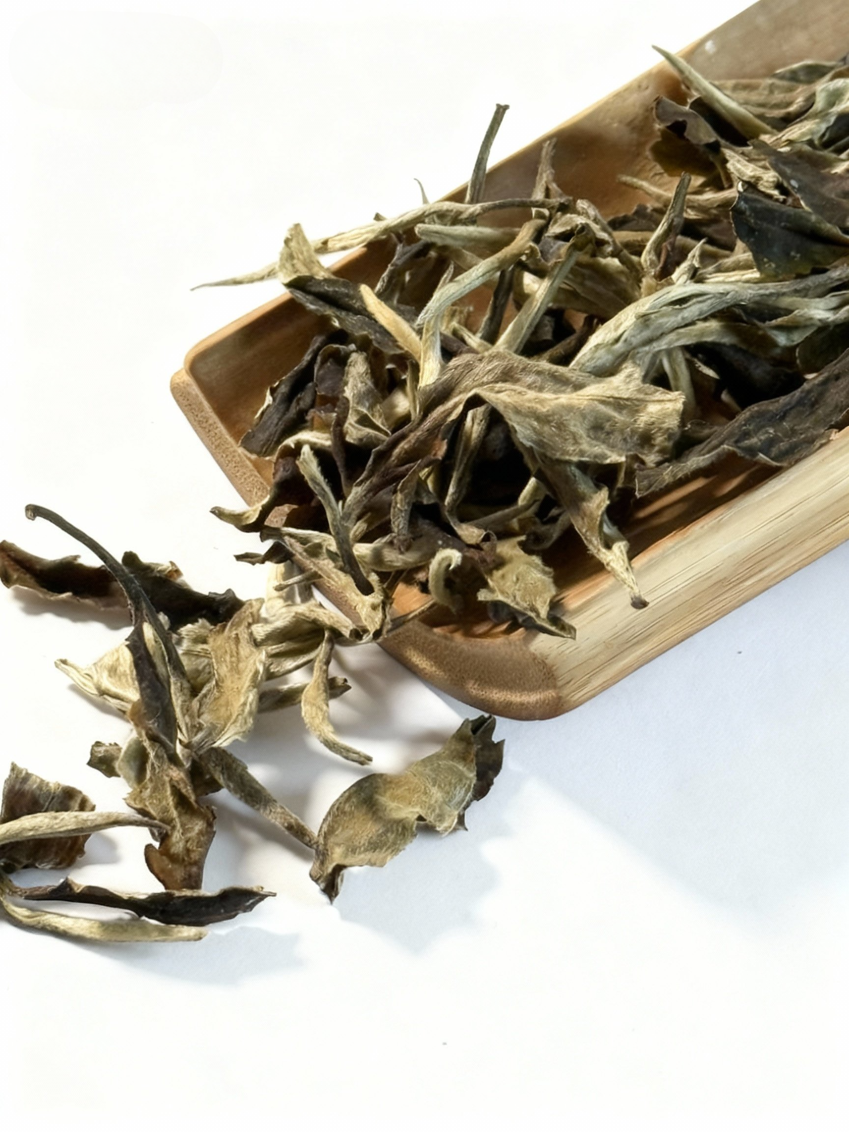 Moonlight White (Ancient Tree) White Tea